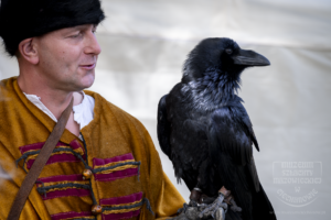 Fotografia Zajazd Szlachecki 2025 r. - pokaz sokoli