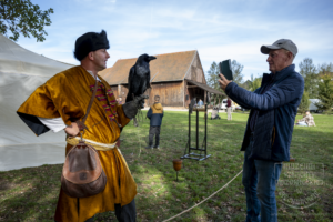 Fotografia Zajazd Szlachecki 2025 r. - pokaz sokoli
