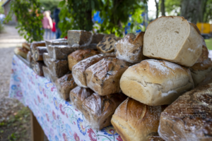 Fotografia Zajazd Szlachecki 2025 r.